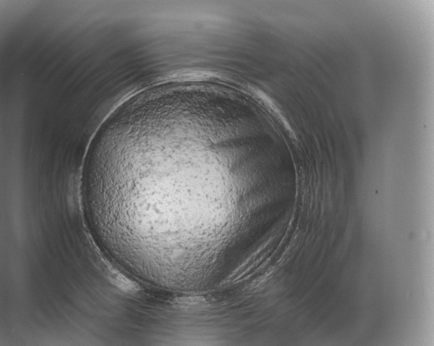 X0000071781186200607150047