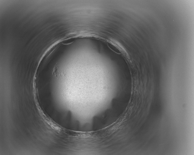 X0000071781190200607150047