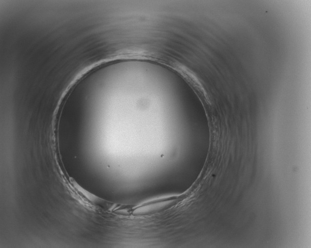 X0000071781192200607150047