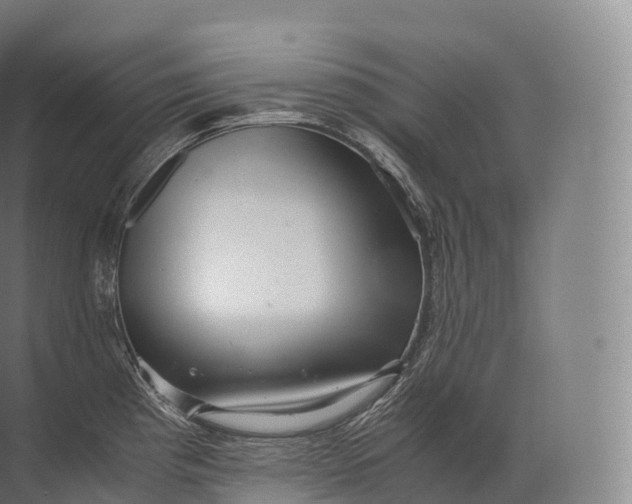 X0000071781193200607150047