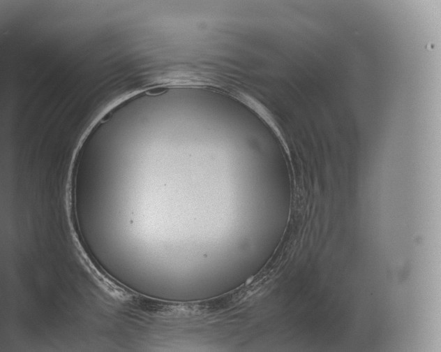 X0000071781195200607150047