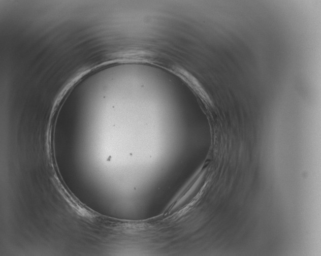 X0000071781196200607150047