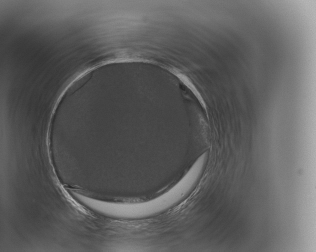 X0000071781197200607150047