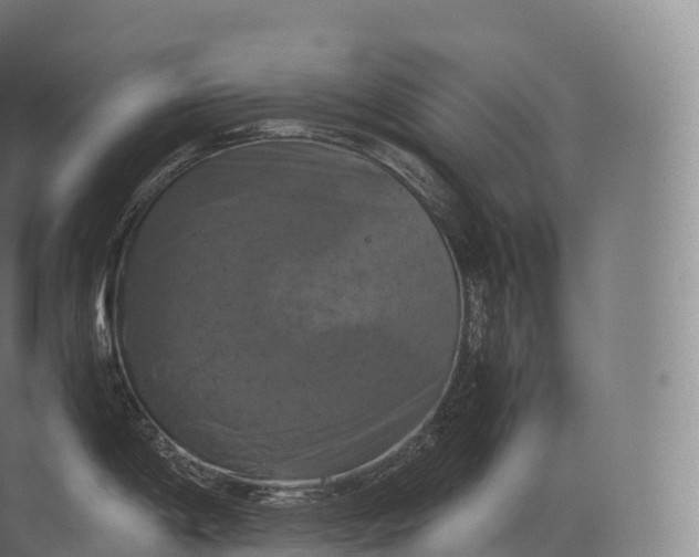 X0000071781198200607150047