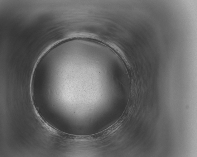 X0000071781199200607150047