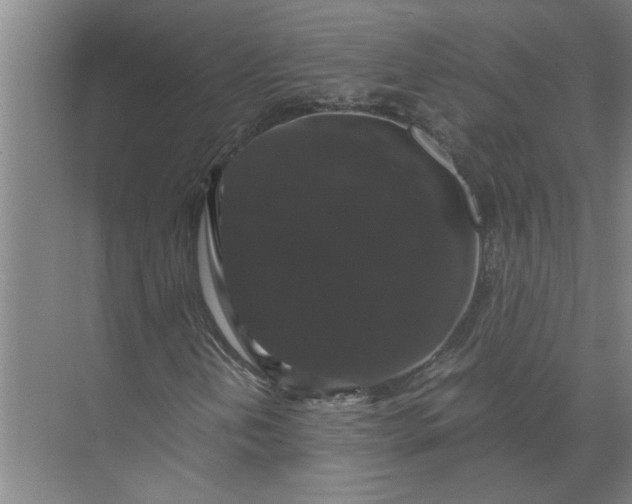 X0000071781202200607150046