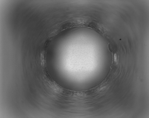 X0000071781203200607150046