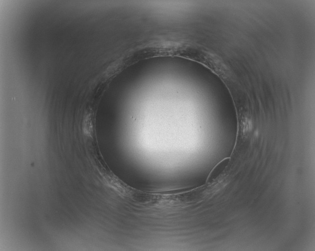 X0000071781204200607150046