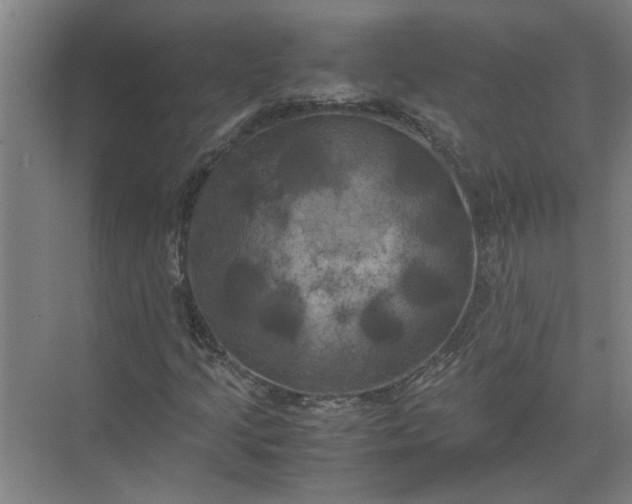 X0000071781205200607150046