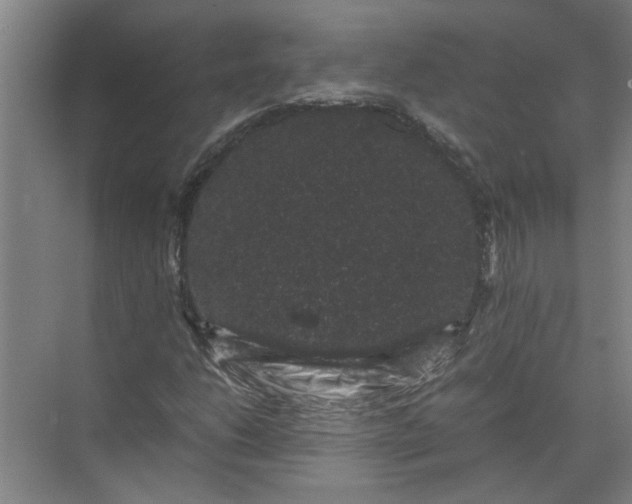 X0000071781206200607150046