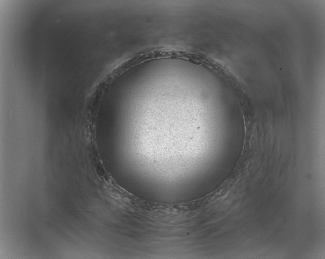 X0000071781207200607150046