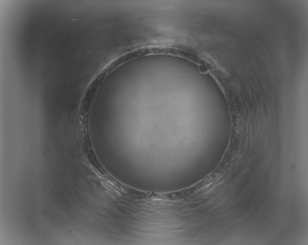 X0000071781208200607150046