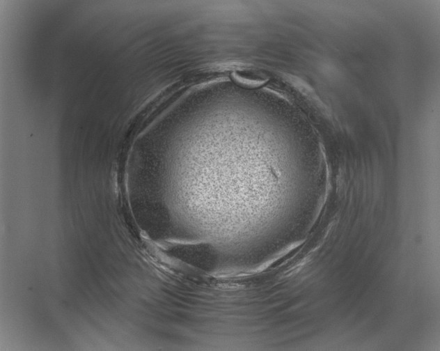 X0000071781209200607150046