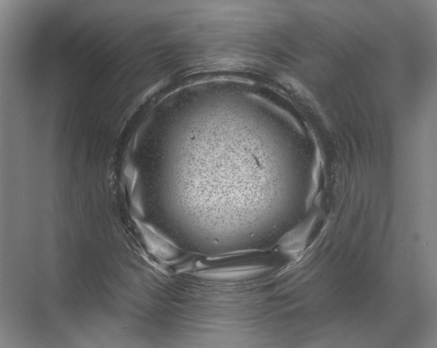 X0000071781210200607150046