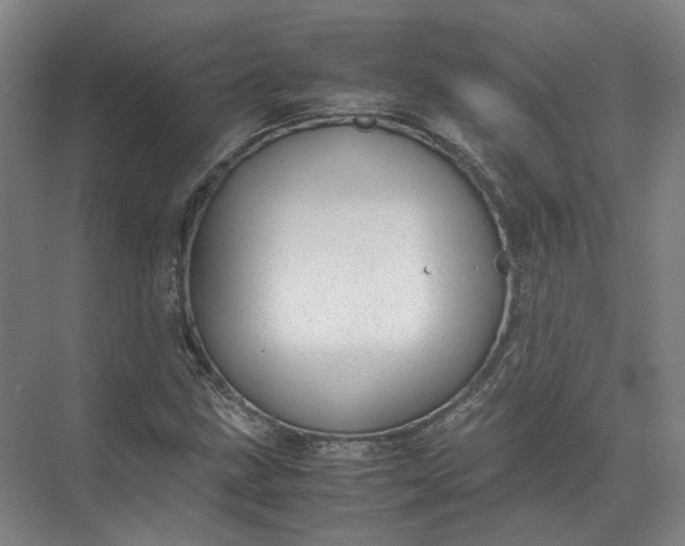 X0000071781211200607150046