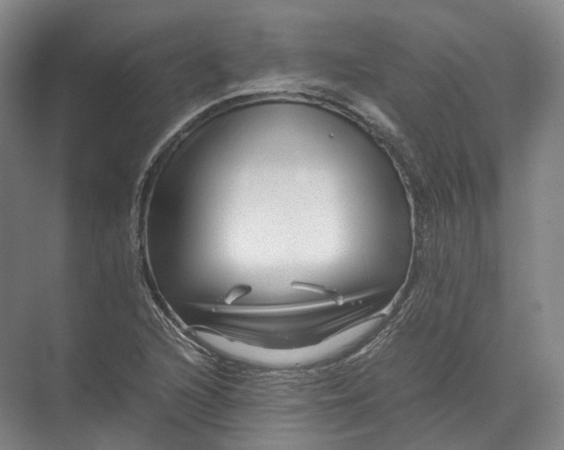 X0000071781216200607150046