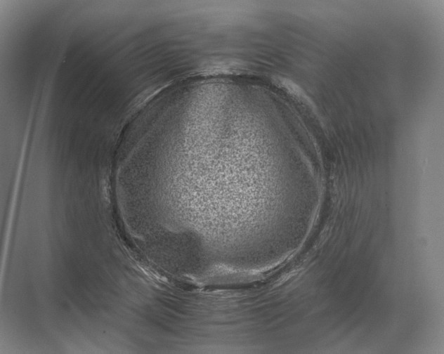 X0000071781217200607150046