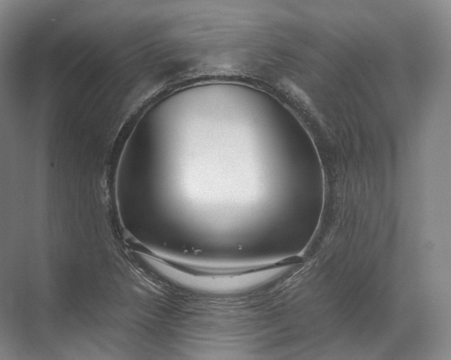 X0000071781218200607150046