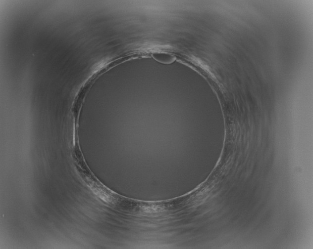 X0000071781219200607150046