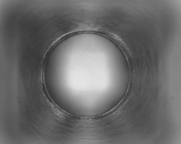 X0000071781220200607150046