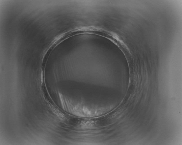 X0000071781221200607150046