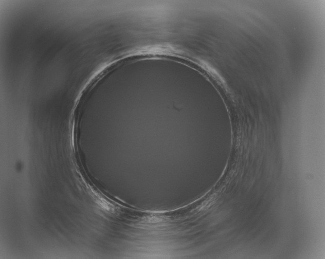 X0000071781224200607150046