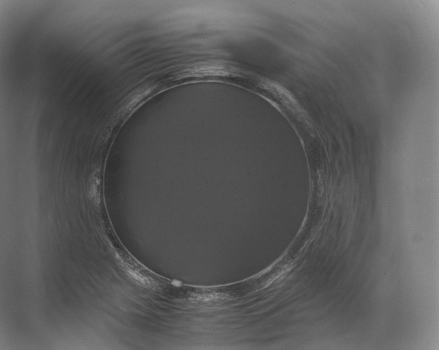 X0000071781225200607150046