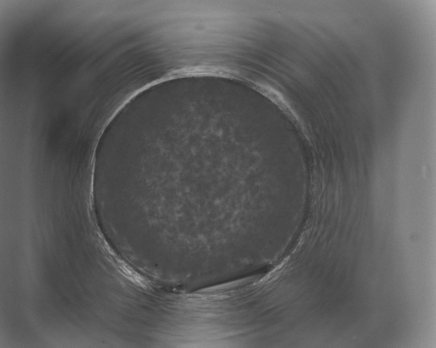 X0000071781228200607150046