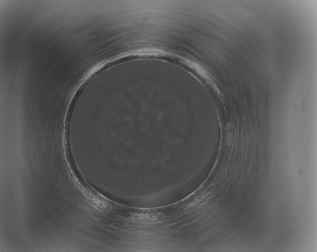 X0000071781229200607150046