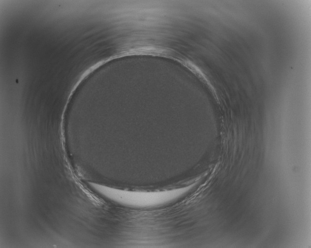 X0000071781230200607150046