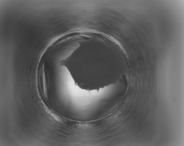 X0000071781231200607150046