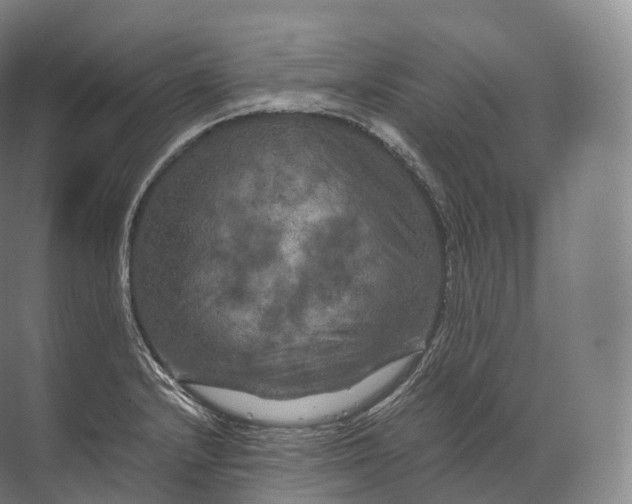 X0000071781232200607150046