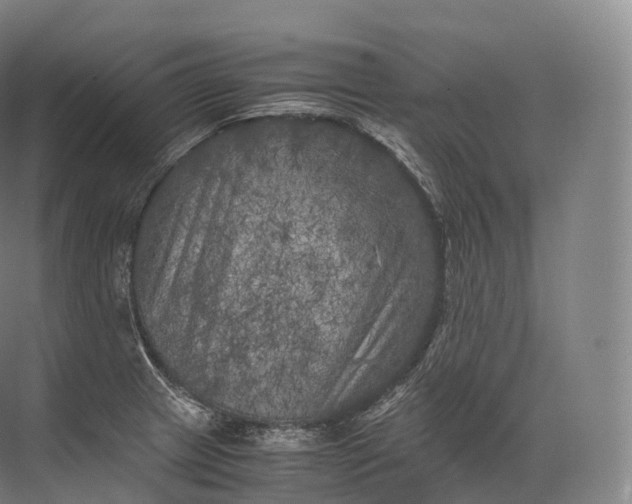 X0000071781233200607150046