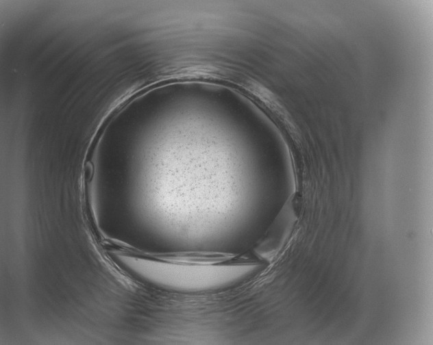 X0000071781234200607150046