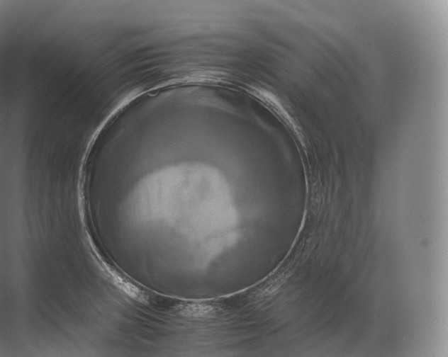 X0000071781235200607150046