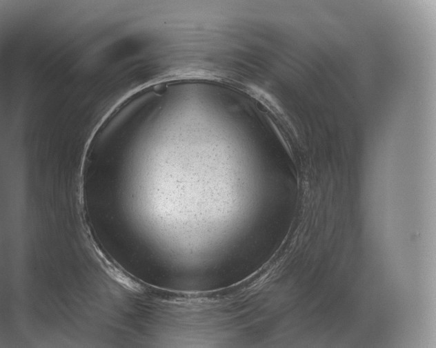 X0000071781236200607150046