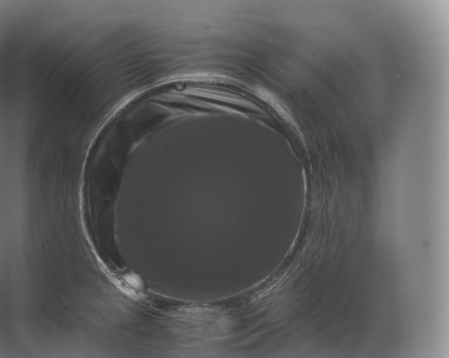 X0000071781237200607150046