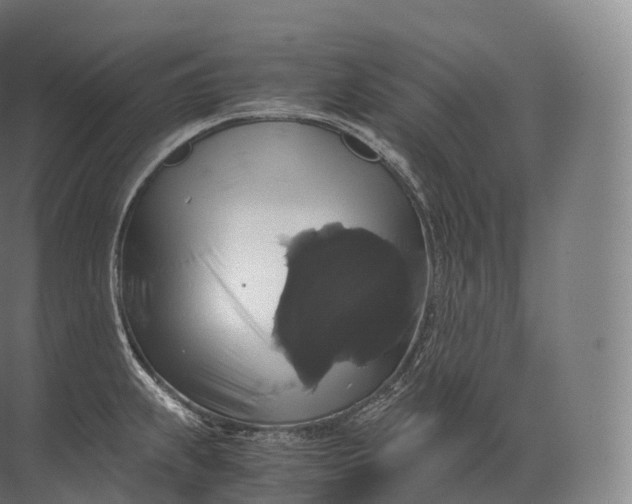 X0000071781239200607150046