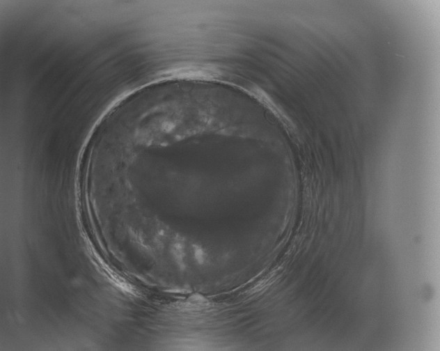 X0000071781240200607150046