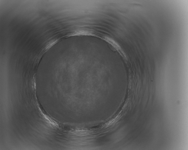 X0000071781241200607150046