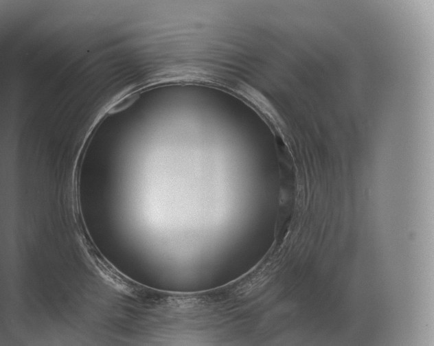 X0000071781242200607150046