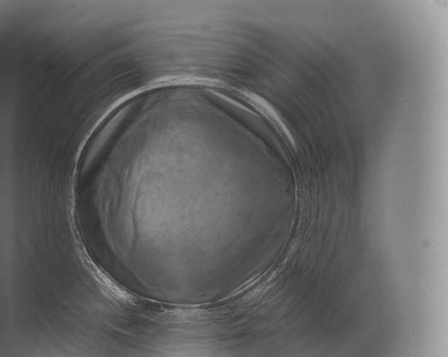 X0000071781244200607150047