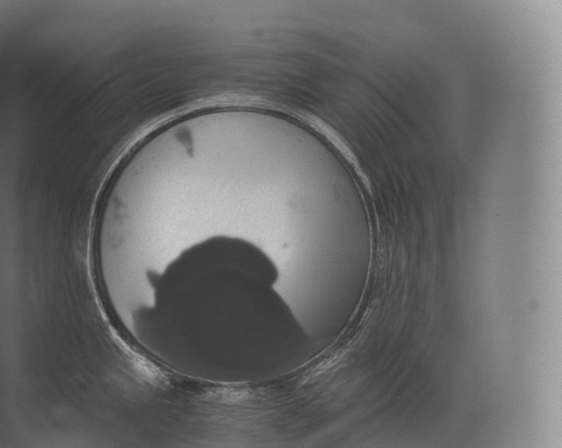 X0000071781245200607150047