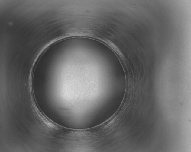 X0000071781246200607150047