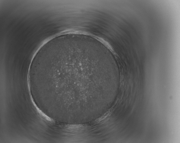 X0000071781247200607150047