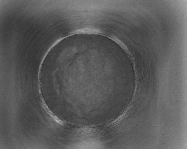 X0000071781248200607150047