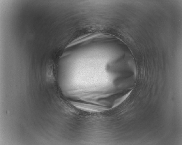 X0000071781250200607150046