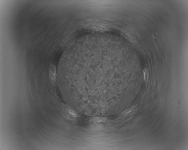 X0000071781251200607150046