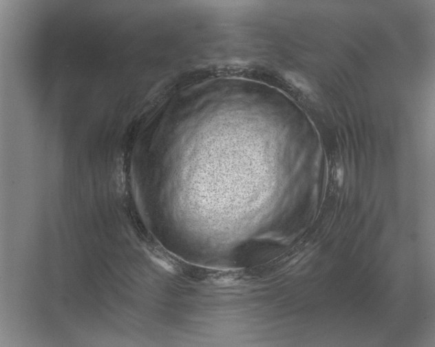 X0000071781252200607150046