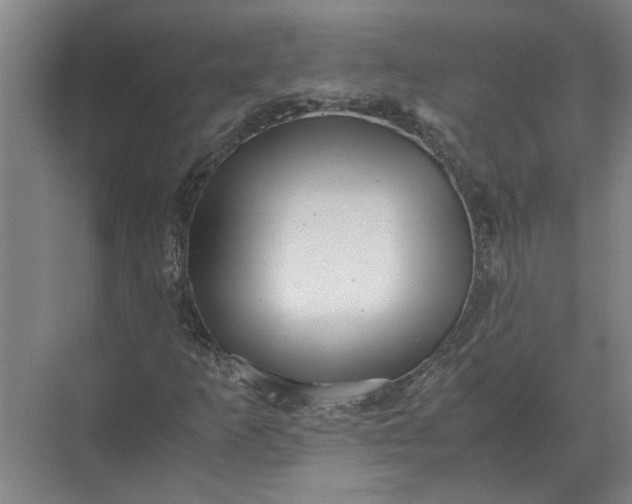 X0000071781253200607150046